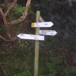 Wanderpfad im Anaga Gebirge