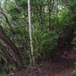 Anaga Gebirge