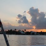 Water Taxi Tour