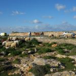 Gozo