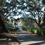 Oak Alley Plantation