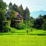 Four-Seasons-Resort-Chiang-Mai