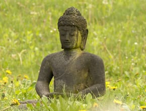 Buddha