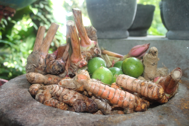 Gewürze im Tropical Spice Garden