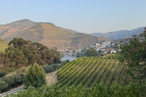 Auf dem Rio Douro durch das Tal des Portweins